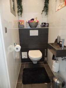 renovatie toilet Losser 2