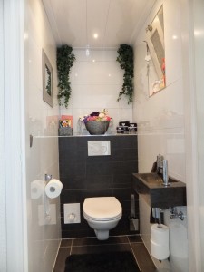 renovatie toilet Losser